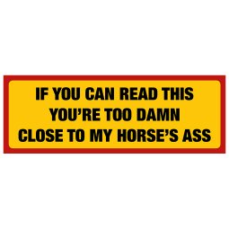 if you can read this