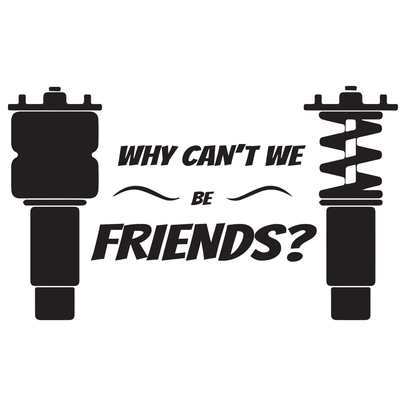 Why cant we be friends