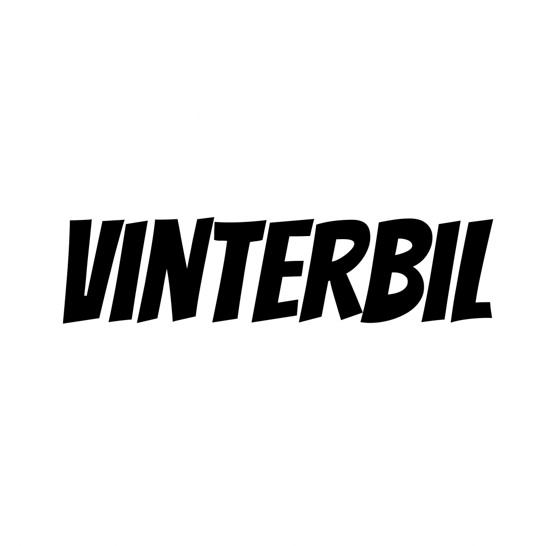 Vinterbil