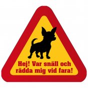 Chihuahua var snäll och rädda mig vid fara