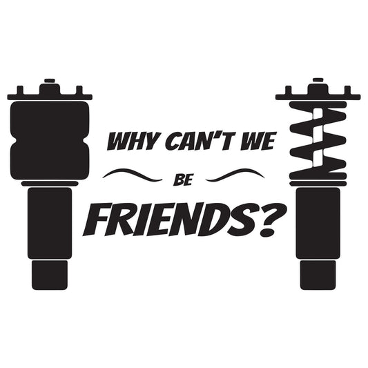 Why cant we be friends